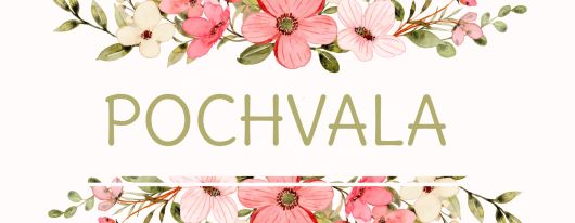 Pochvala pro naší pobočku v Domažlicích