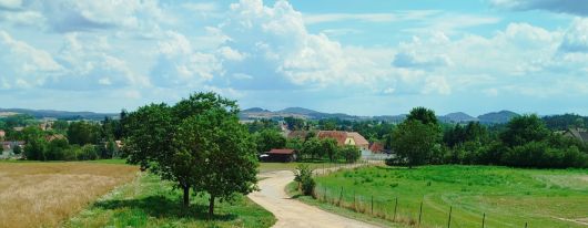 NOVĚ POKRYTO - KOZLOV